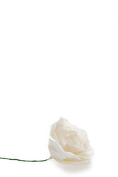 Similar image 13293605