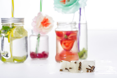 Similar image 13301310