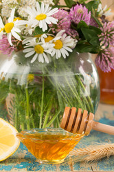 Similar image 13294128