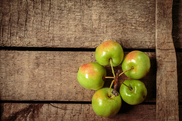 Similar image 13294129