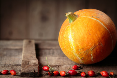 Similar image 13294145