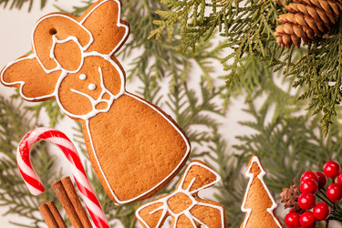 Similar image 13294112