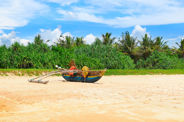 Similar image 13294642