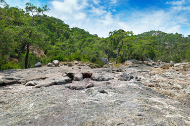 Similar image 13294644