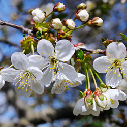 Similar image 13294645