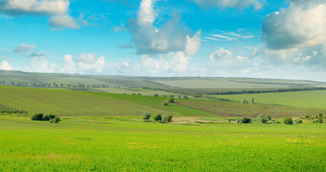 Similar image 13294648