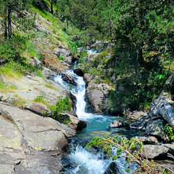 Similar image 13294654