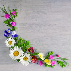 Similar image 13294656