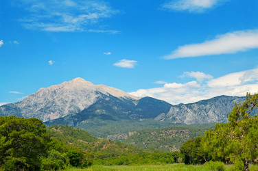 Similar image 13294659