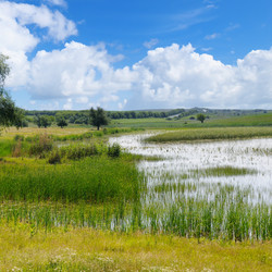 Similar image 13294661