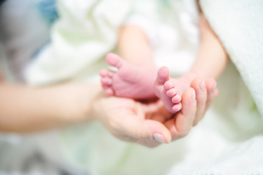 Similar image 13294527