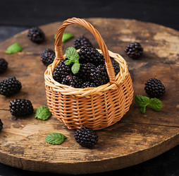 Similar image 13294434