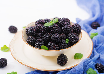 Similar image 13294445