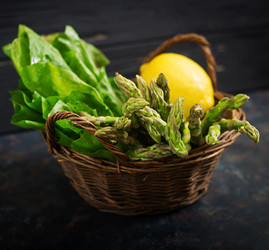 Similar image 13294485