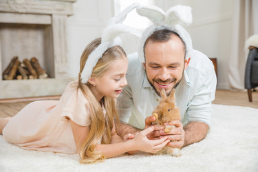 Similar image 13302572