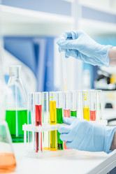 Similar image 13302733