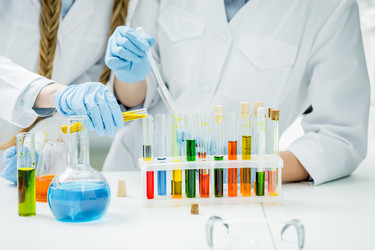 Similar image 13302752