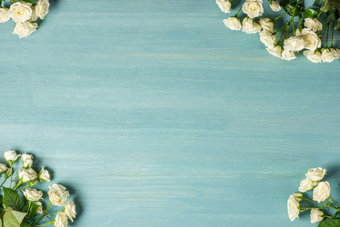 Similar image 13302494