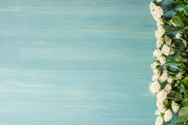 Similar image 13302534