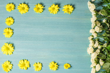 Similar image 13302536