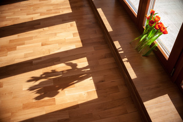 Similar image 13306009