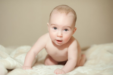 Similar image 13306043