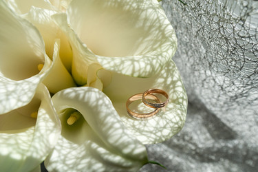 Similar image 13301206