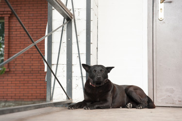 Similar image 13306023