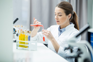 Similar image 13301682