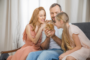 Similar image 13302197