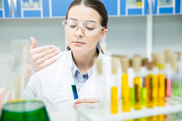 Similar image 13302305