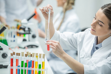 Similar image 13302474