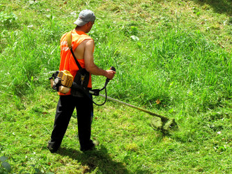 Similar image 13294228