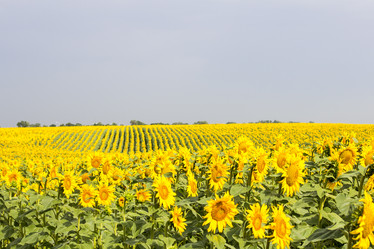 Similar image 13293976