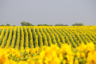 Similar image 13293987