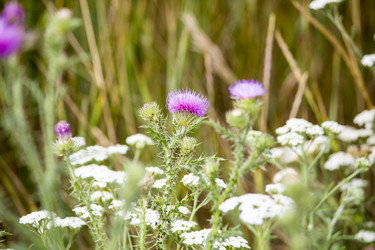 Similar image 13293929