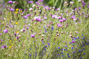 Similar image 13293942