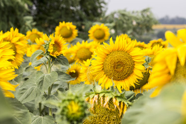 Similar image 13293959