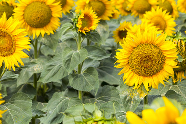 Similar image 13293973