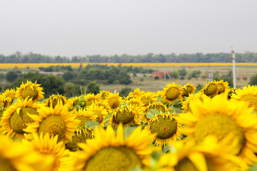 Similar image 13293993