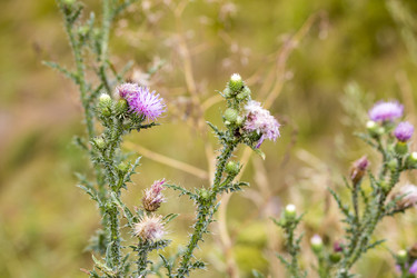 Similar image 13293995