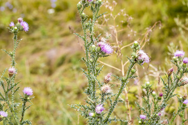 Similar image 13293996