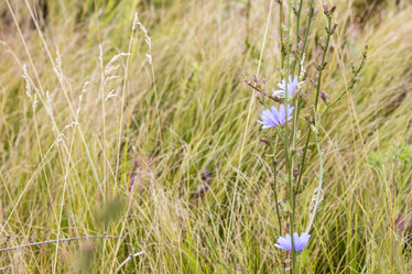 Similar image 13293997