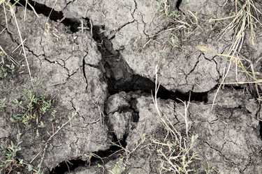 Similar image 13293999