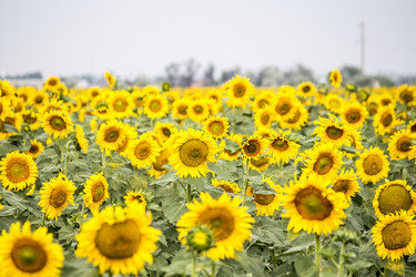 Similar image 13294000