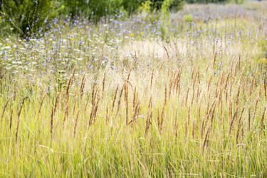 Similar image 13294003