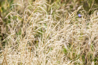 Similar image 13294004