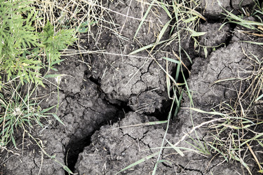 Similar image 13294005