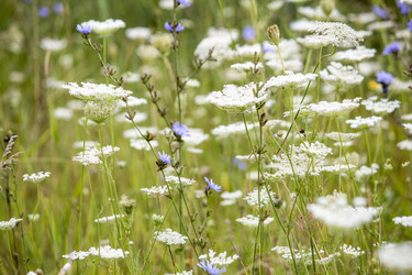 Similar image 13294028