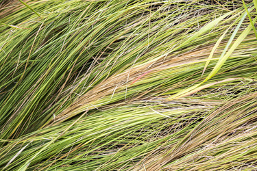 Similar image 13294038